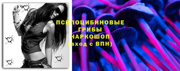 прущий лед Алзамай