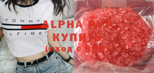 прущий лед Алзамай
