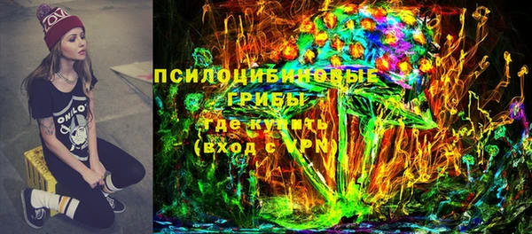прущий лед Алзамай