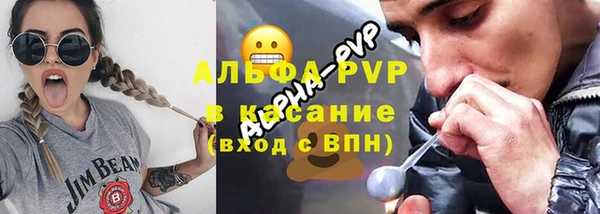 прущий лед Алзамай