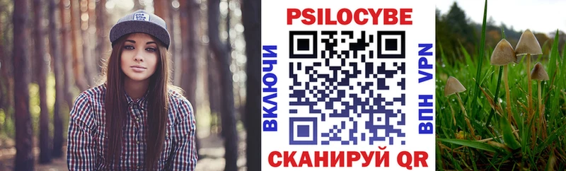 сколько стоит  Алупка  MEGA ССЫЛКА  Псилоцибиновые грибы GOLDEN TEACHER 